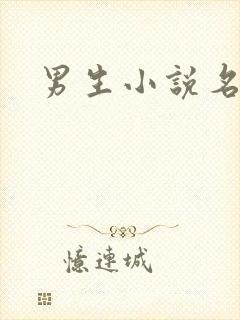 男生小说名字