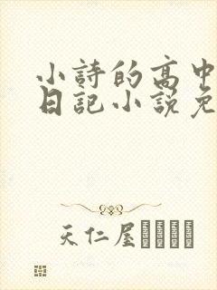 小诗的高中成长日记小说免费阅读