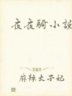 夜夜骑小说