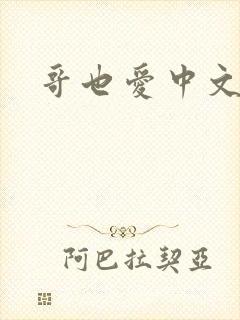 哥也爱中文