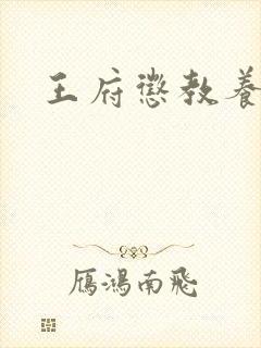 王府惩教养日常