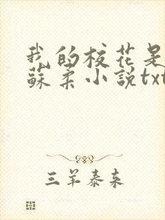 我的校花是福姬苏柔小说txt