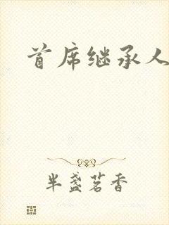 首席继承人封面