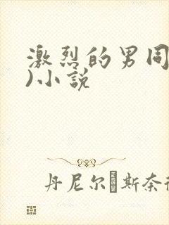 激烈的男同(h)小说