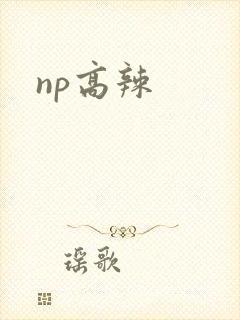 np高辣