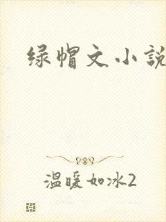 绿帽文小说封面