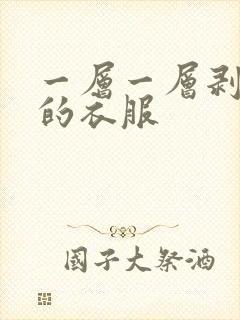 一层一层剥开你的衣服