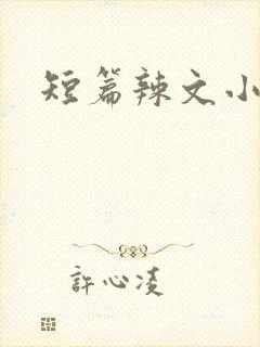 短篇辣文小说封面