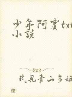 少年阿宾txt小说