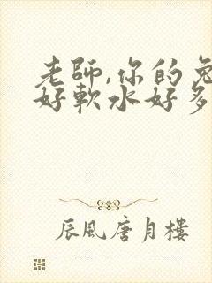老师,你的兔子好软水好多