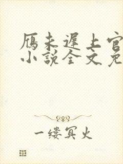 雁未迟上官穿越小说全文免费阅读