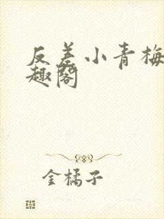 反差小青梅 笔趣阁