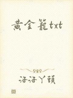 黄金笼txt