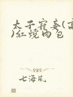 太子宠妾(高肉)红烧肉包封面