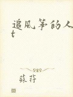 追风筝的人txt