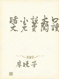 赌小说木口银全文免费阅读笔趣阁