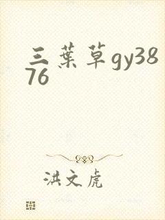 三叶草gy3876封面