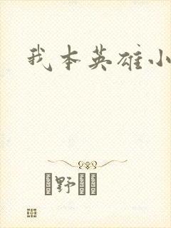 我本英雄小说封面