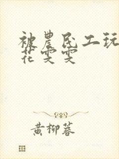 被农民工玩的校花雯雯封面