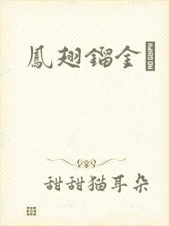 凤翅镏金镋封面