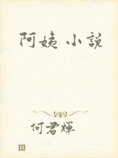 阿姨 小说