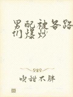 男配被各路大佬们爆炒