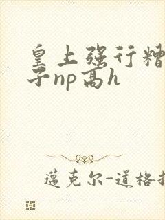 皇上强行糟蹋太子np高h