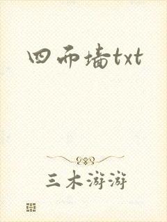 四面墙txt