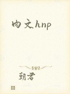肉文hnp