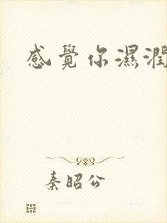 感觉你湿润我封面