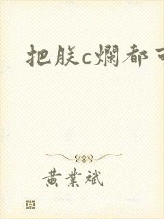 把朕c烂都可以封面