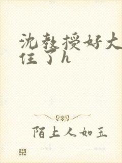 沈教授好大含不住了h