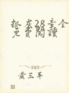 抓灰28章全部免费阅读