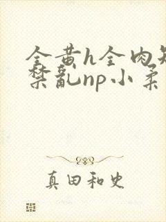 全黄h全肉短篇禁乱np小柔