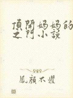 顶开妈妈的生命之门小说封面