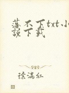 落不下txt小说下载