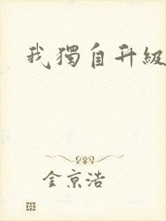 我独自升级封面