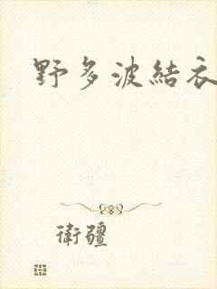 野多波结衣