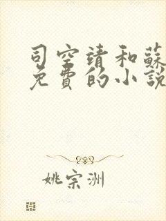 司空靖和苏月汐免费的小说笔趣阁