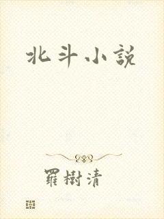 北斗小说