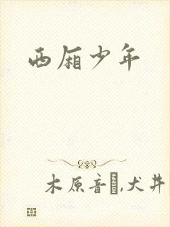 西厢少年