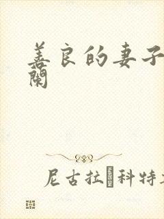 善良的妻子王晓兰