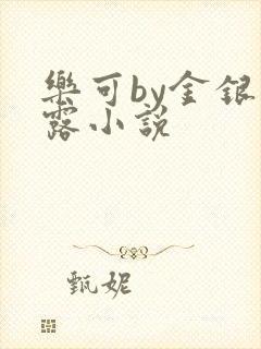 乐可by金银花露小说