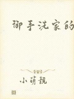 御手洗家的墙洞