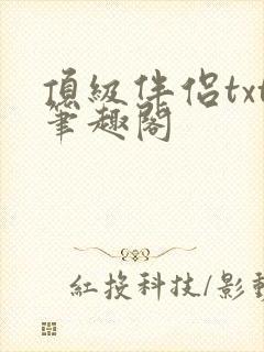 顶级伴侣txt笔趣阁