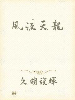 风流天龙封面