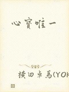 心宝唯一封面
