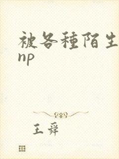 被各种陌生人 np