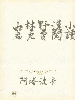 山林野汉小说全篇免费阅读