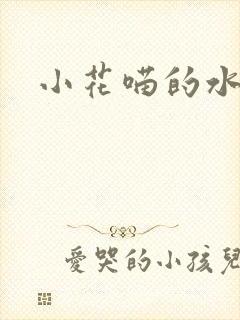 小花喵的水蜜桃